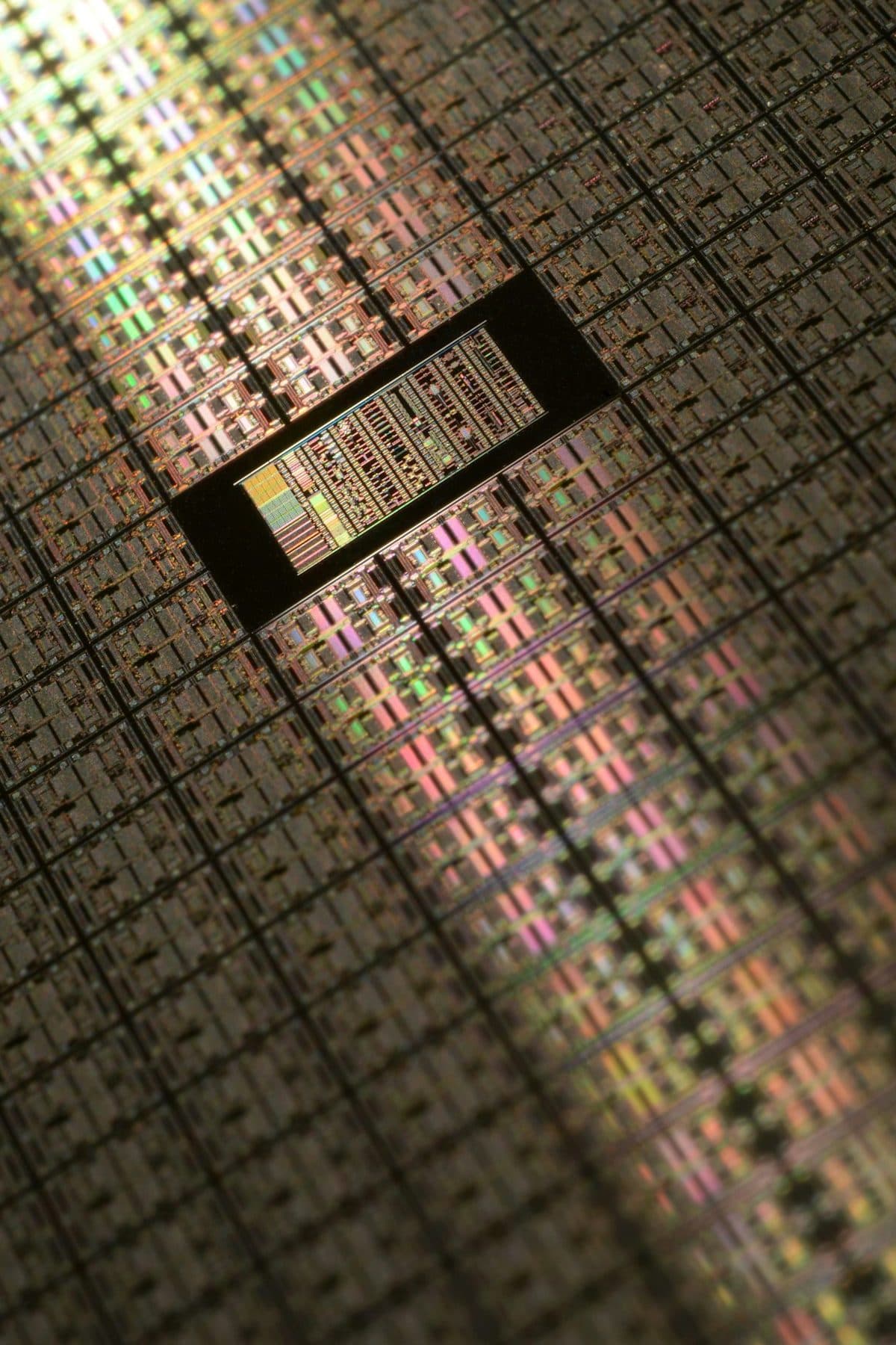 Close-up of a silicon wafer: a grid of microchip dies catching the light at an angle.
